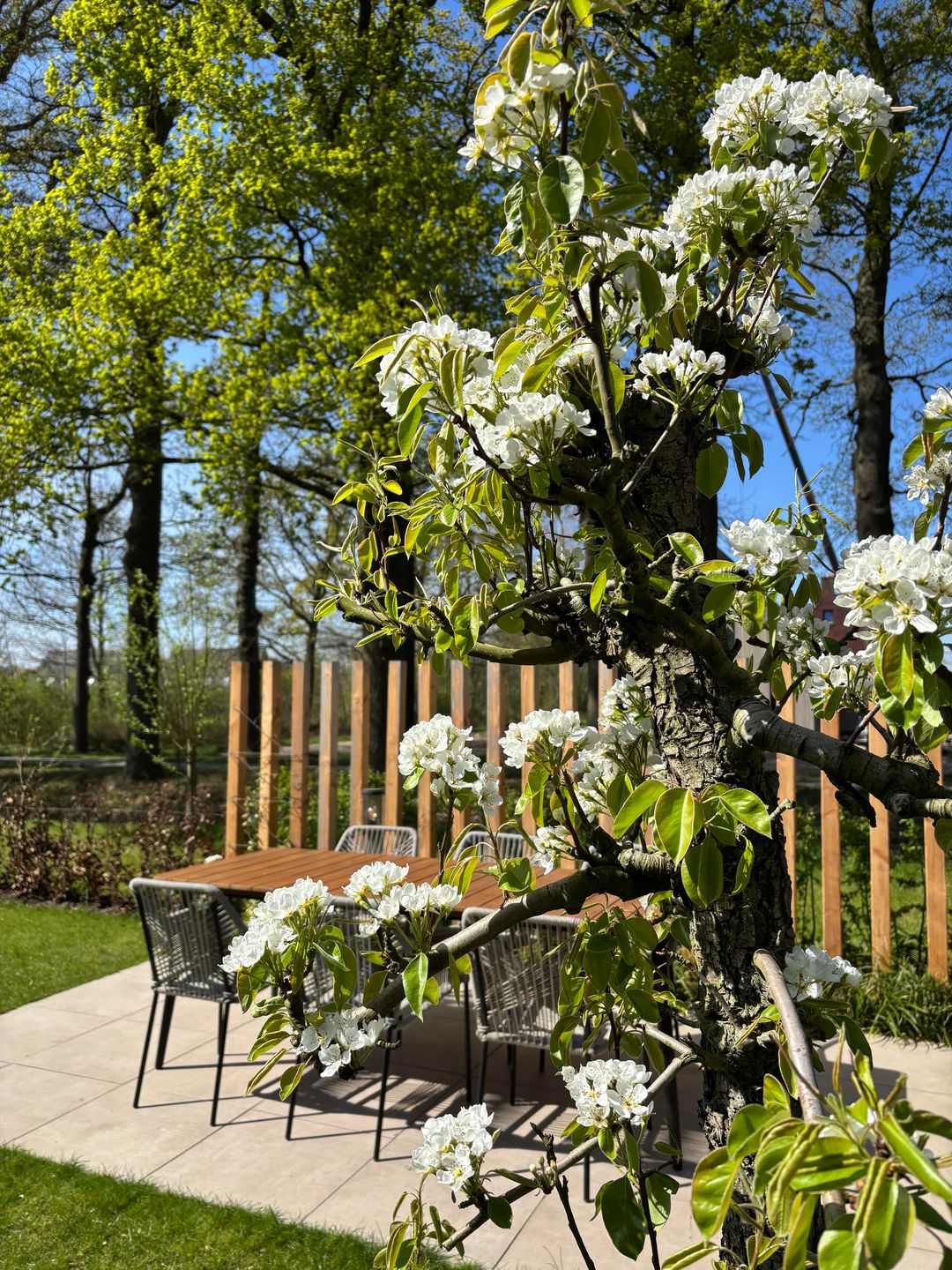 Foto 43 van Stevenshoeve 13