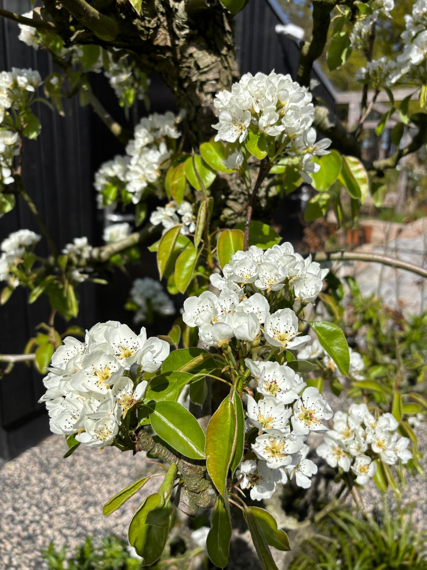 Foto 44 van Stevenshoeve 13