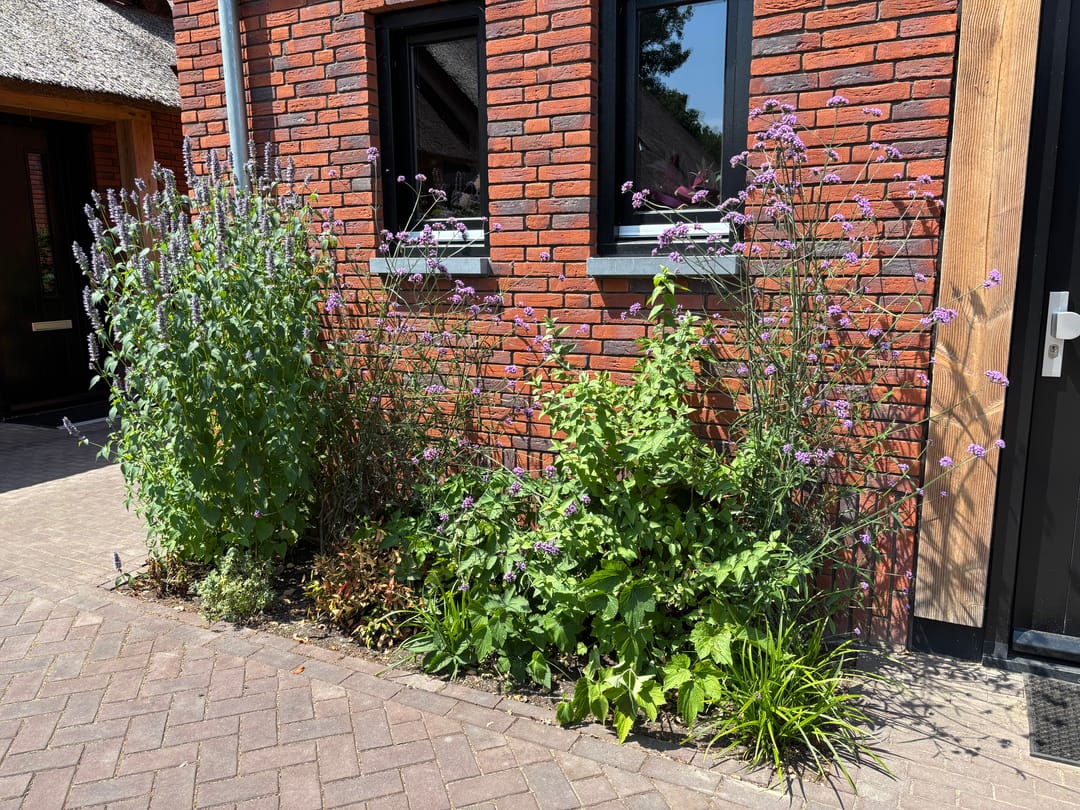 Foto 46 van Stevenshoeve 13