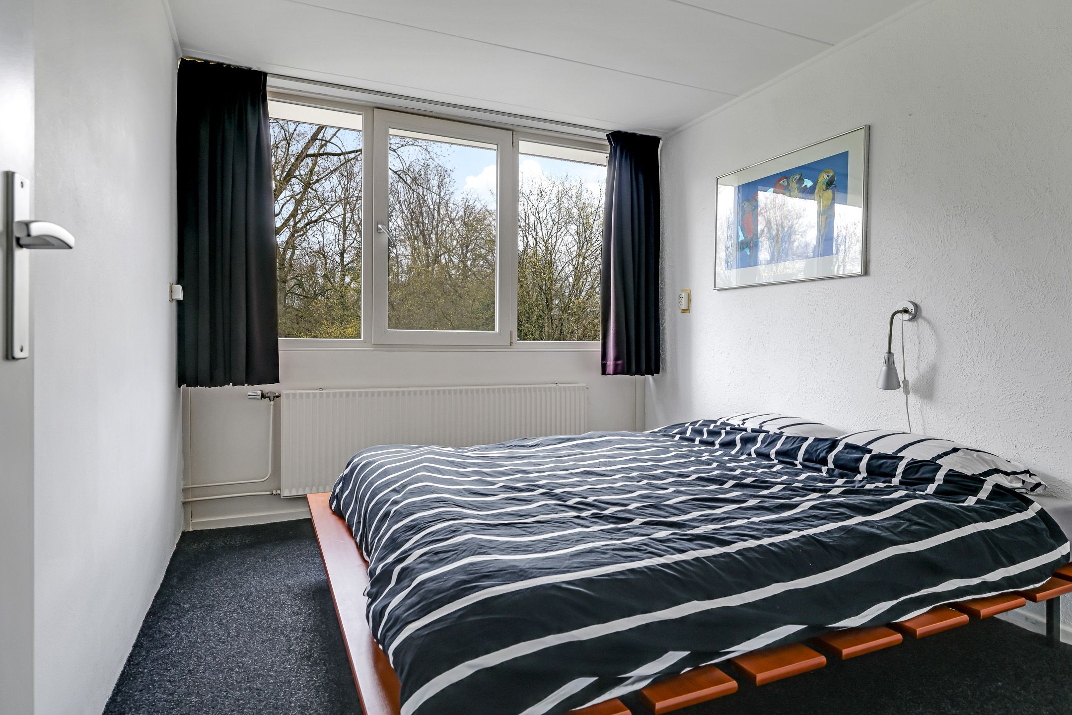 Foto 36 van Eduard Schilderinkstraat 74