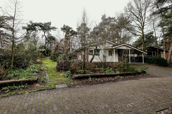 Photo 2 of Elfde Wijk 40-AR57