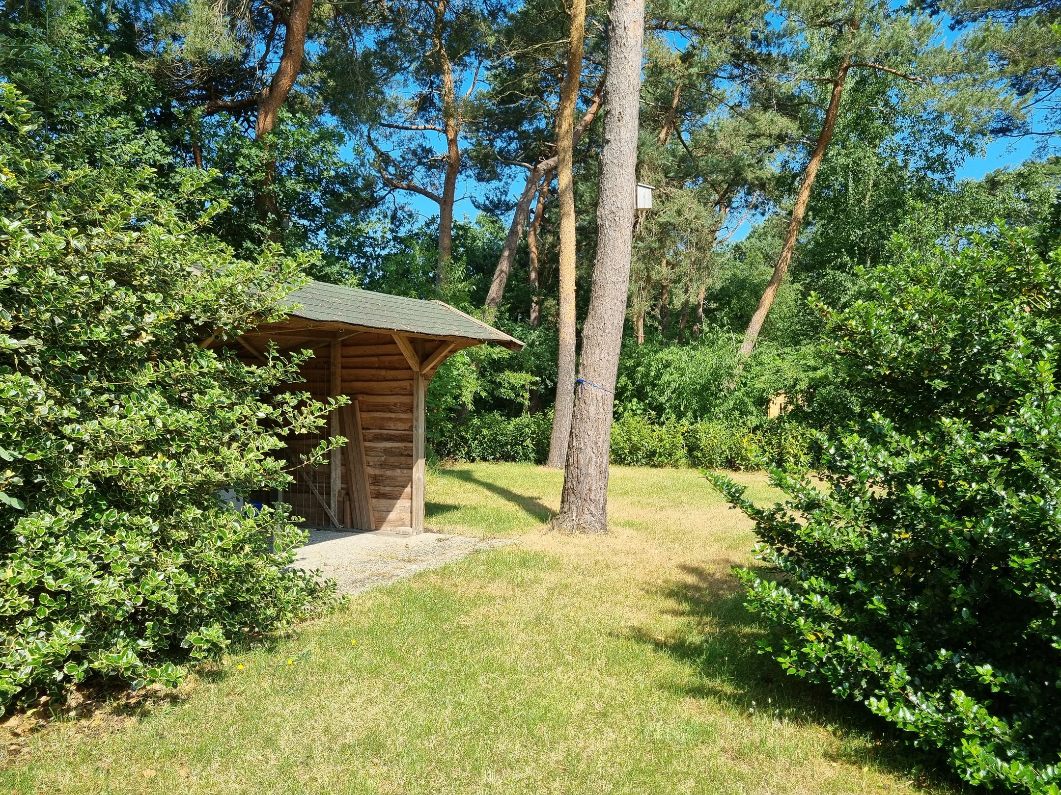 Photo 39 of Elfde Wijk 40-AR57
