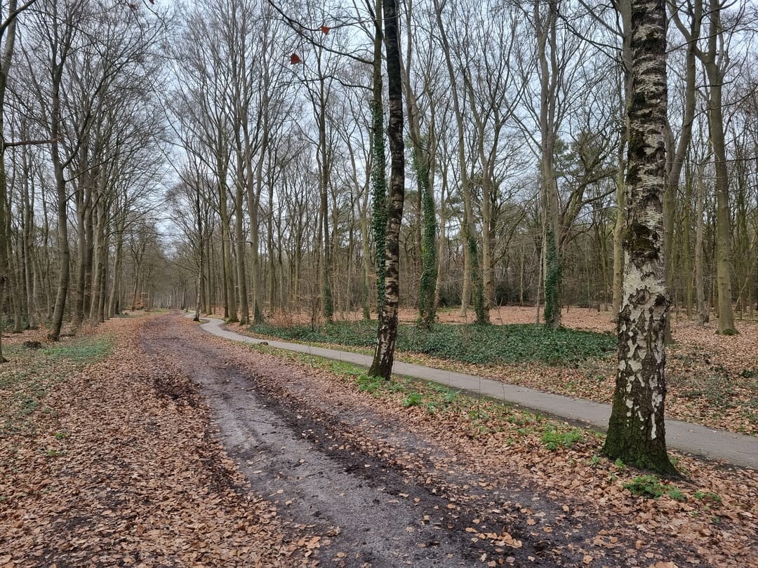 Photo 56 of Elfde Wijk 40-AR57