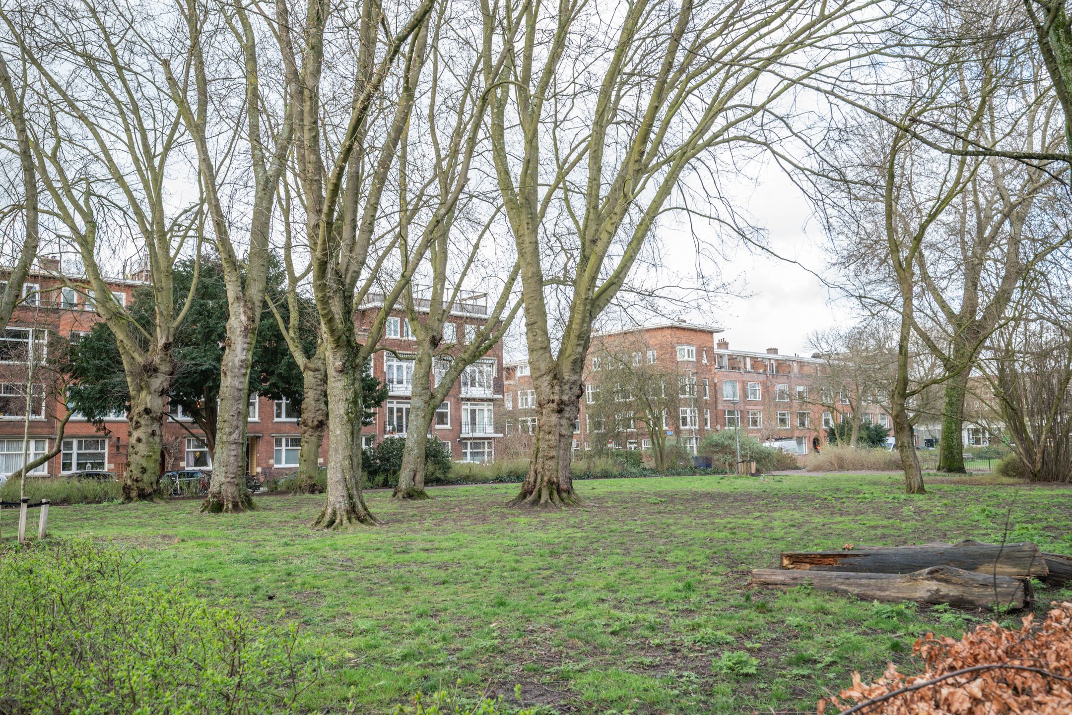 Foto 36 van Dr. de Visserstraat 28-B01