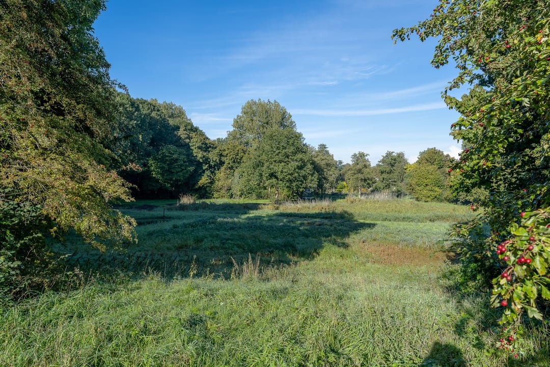 Foto 22 van Olof Palmeplein 55