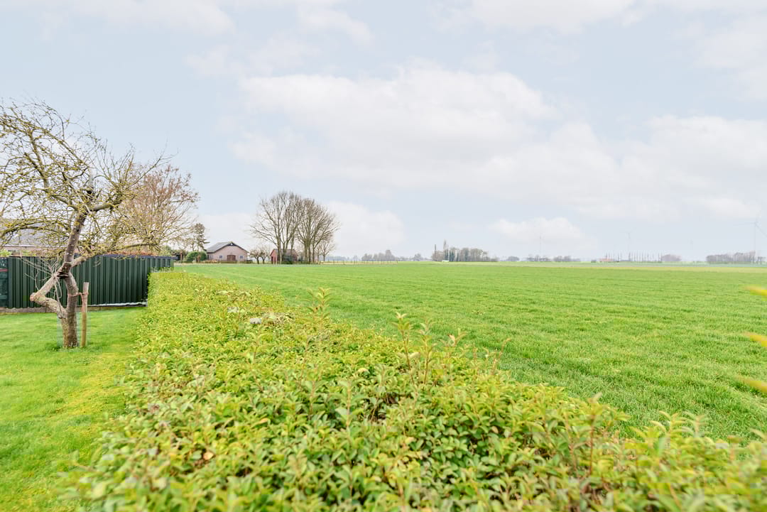 Photo 38 of Hoge Rokken 4