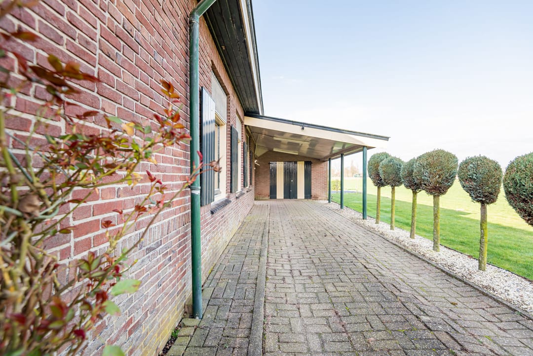 Photo 43 of Hoge Rokken 4