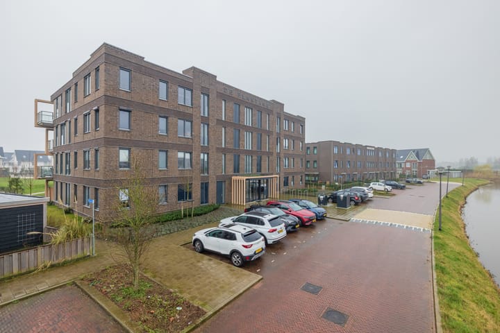 Photo 4 of Calla 83