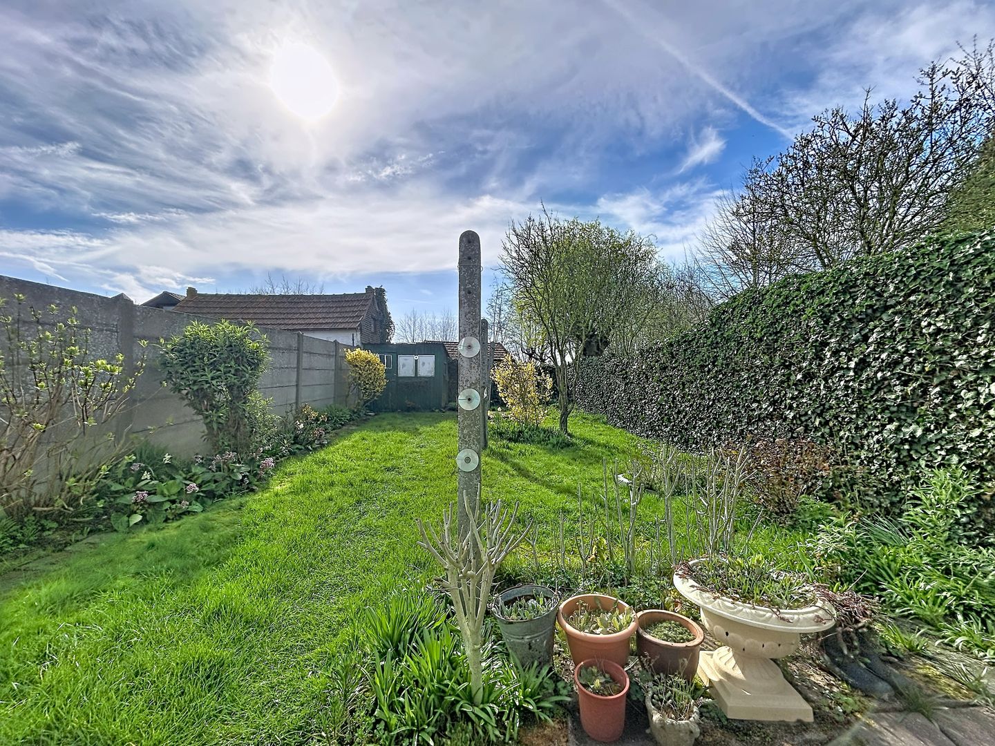 Foto 14 van Willemsweg 53