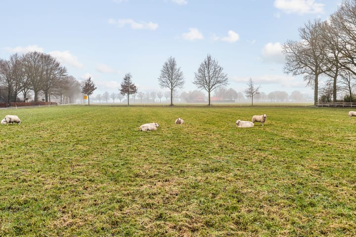 Foto 3 van Beldmansweg 1