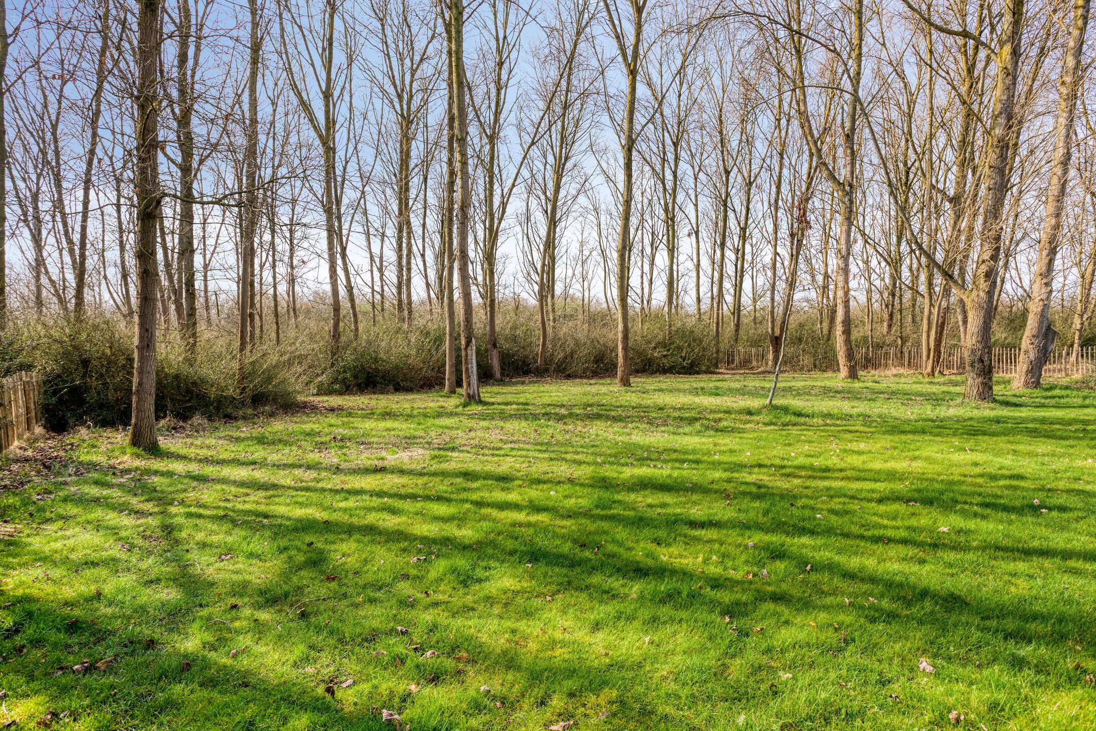 5-bedroom freehold villa in Tholen — photo 5 of 5