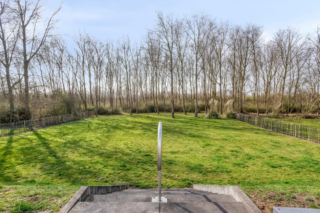 Foto 46 van Oesterdam 169