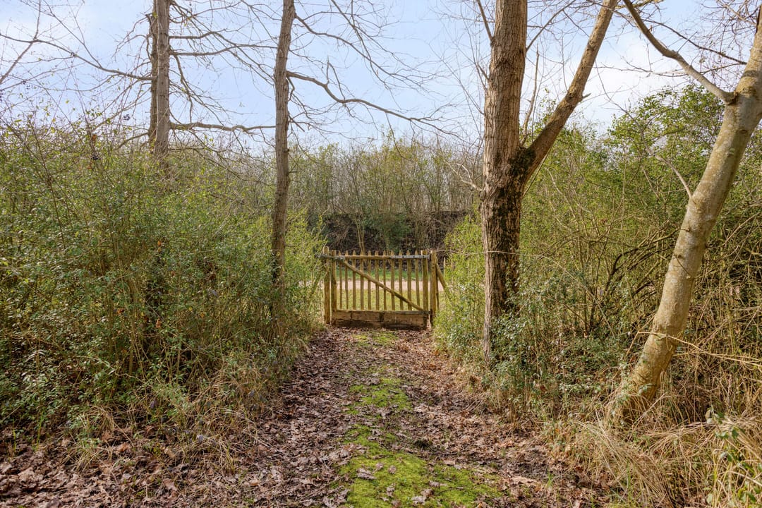 Foto 52 van Oesterdam 169