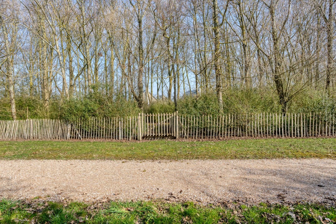 Foto 53 van Oesterdam 169