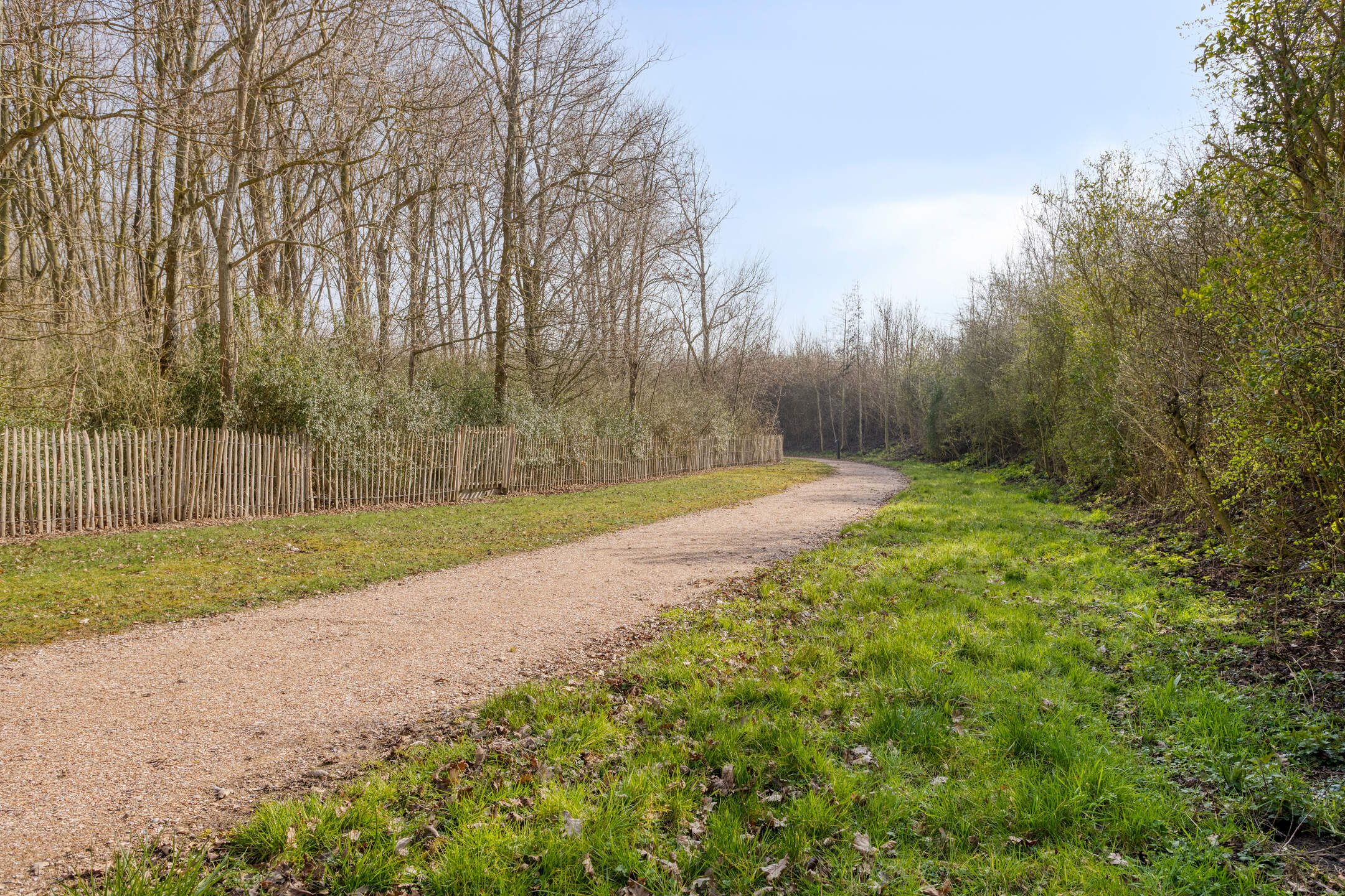 Foto 54 van Oesterdam 169