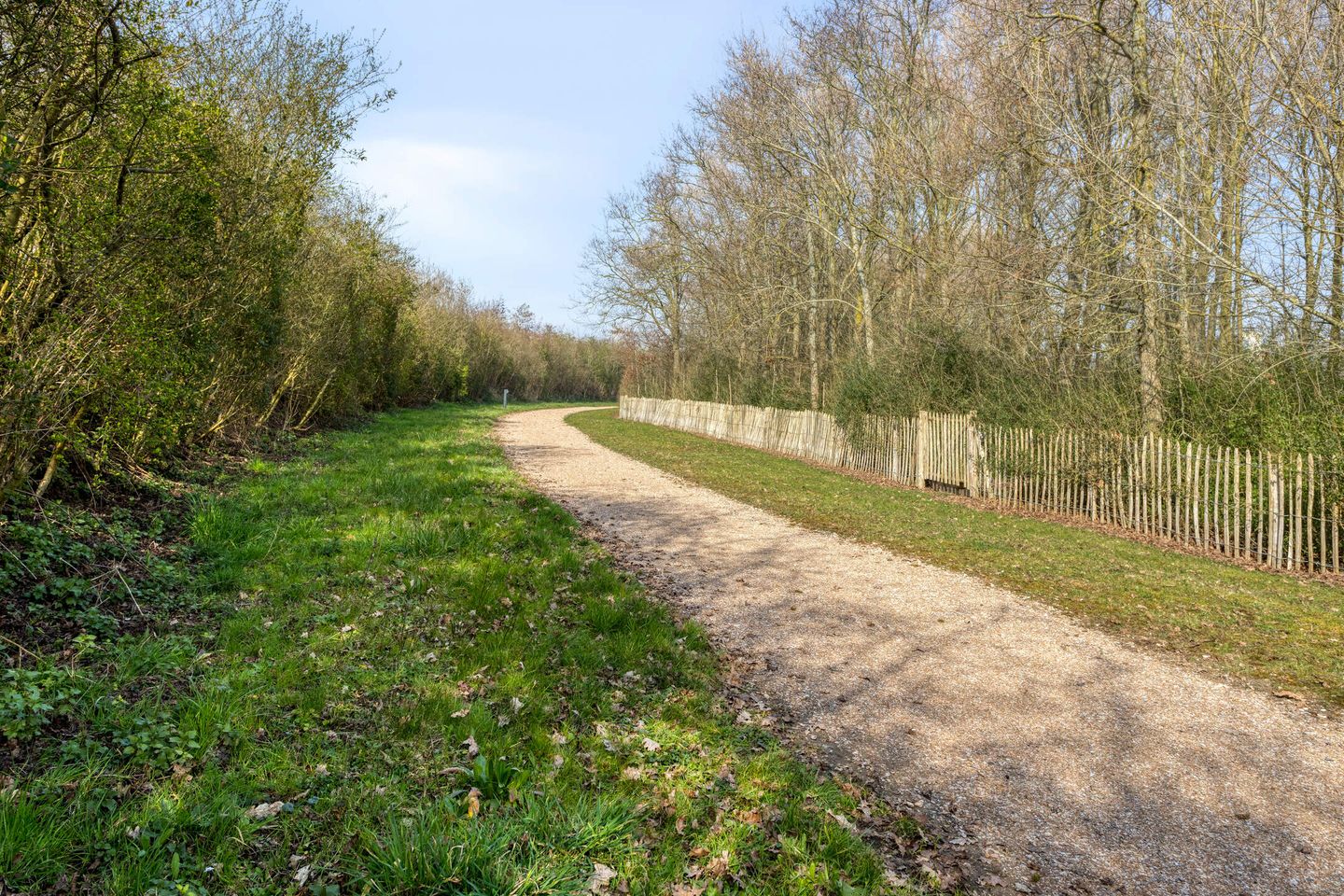 Foto 55 van Oesterdam 169