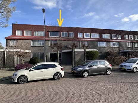 undefined main image