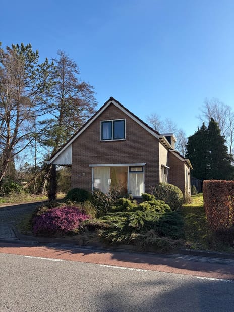 undefined main image