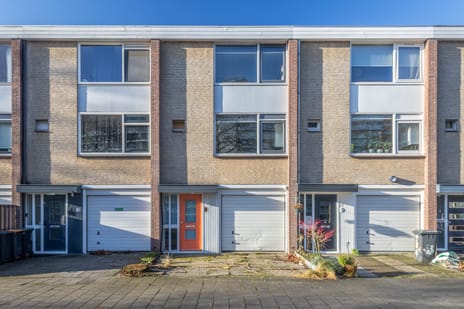 Rode Zee 31 secondary image