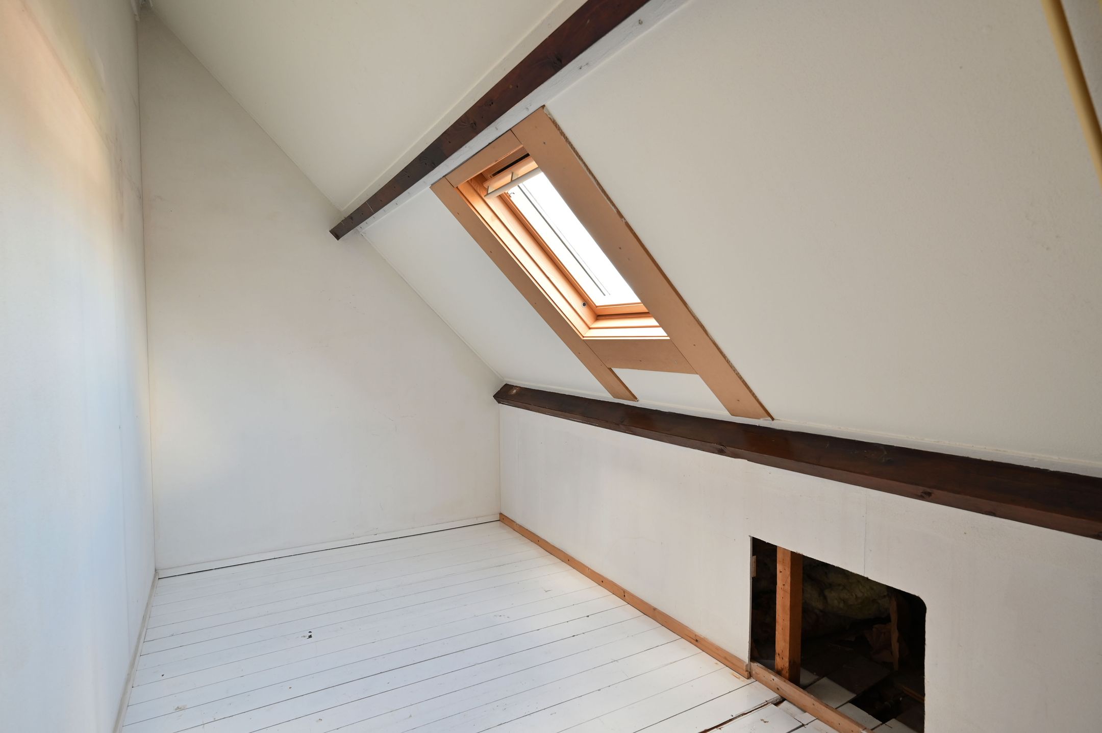 Foto 21 van Jan Steenlaan 22