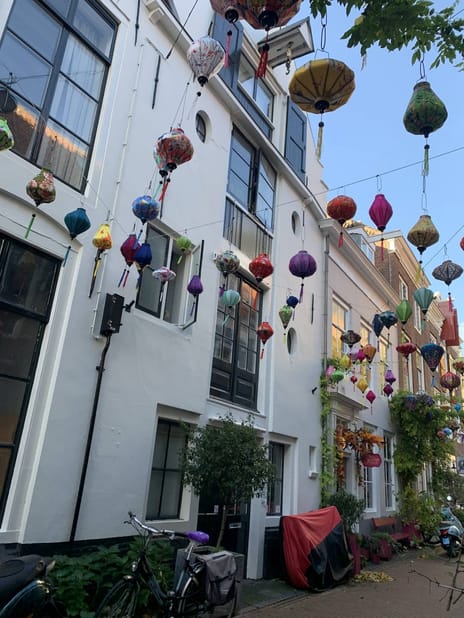 Reigerstraat thumbnail