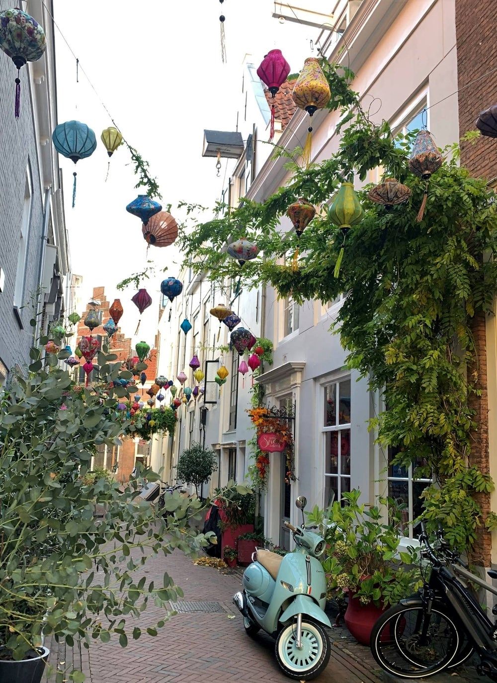 Foto 5 van Reigerstraat 4-B