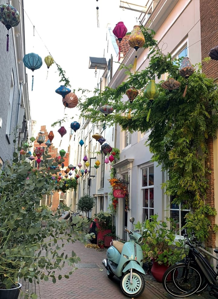 Foto 5 van Reigerstraat 4-B