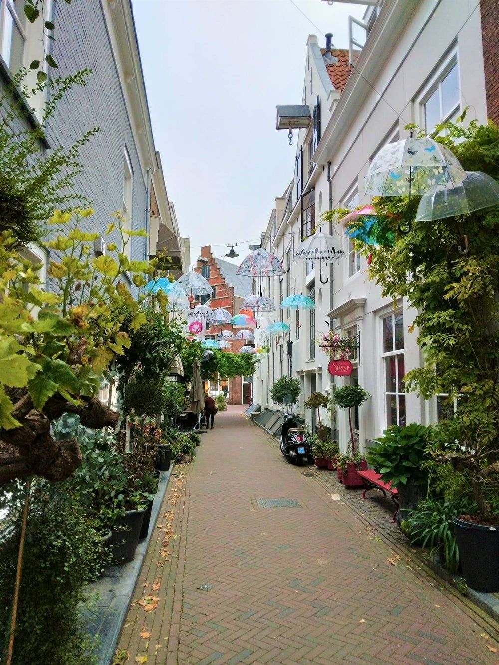 Foto 17 van Reigerstraat 4-B