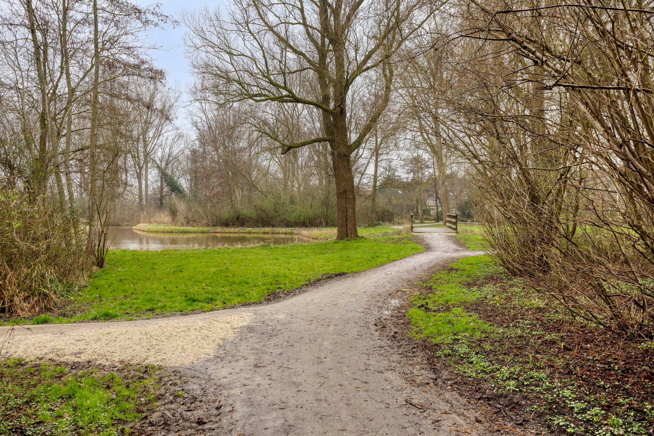 Photo 42 of De Wijzend 130