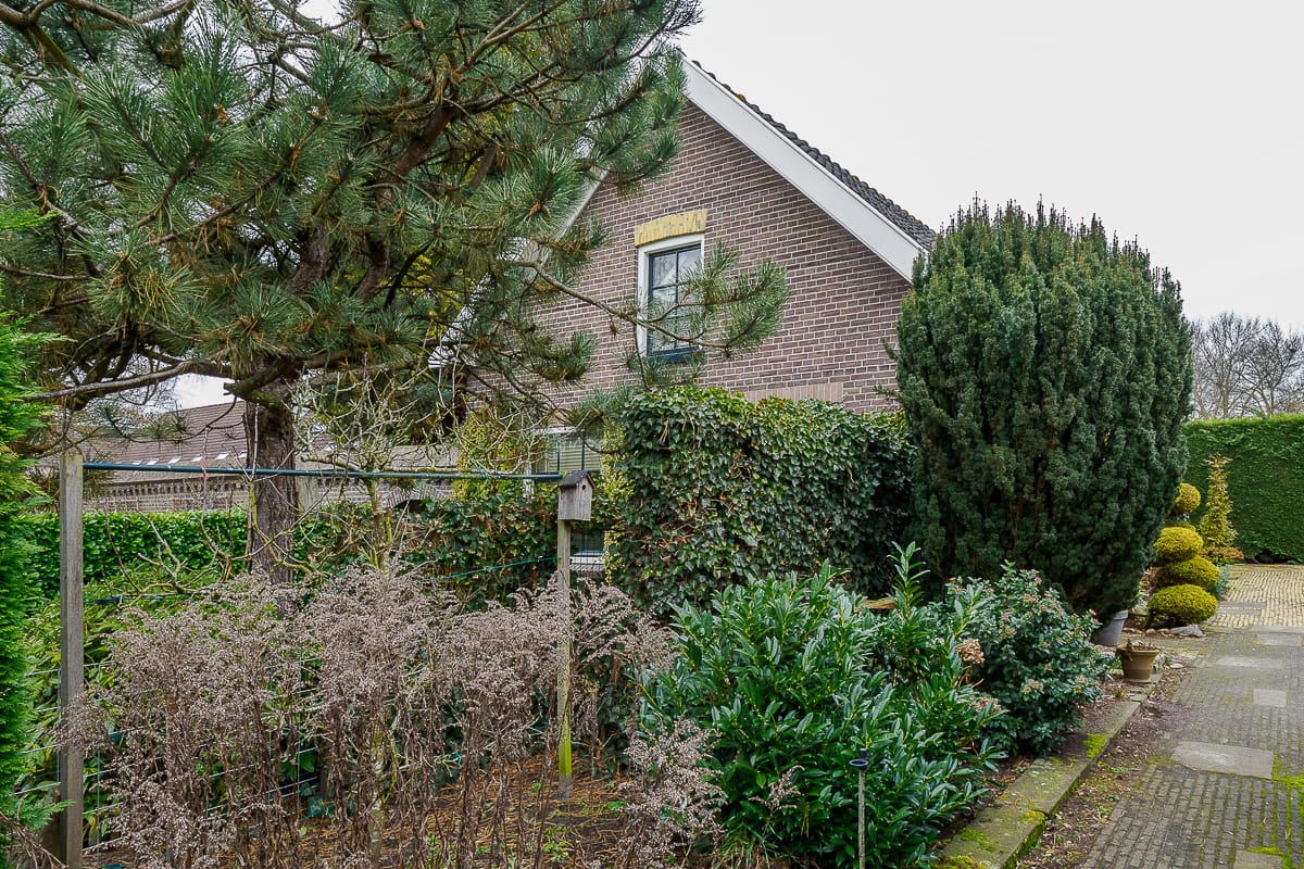 Photo 10 of Sluiskade Zuidzijde 189