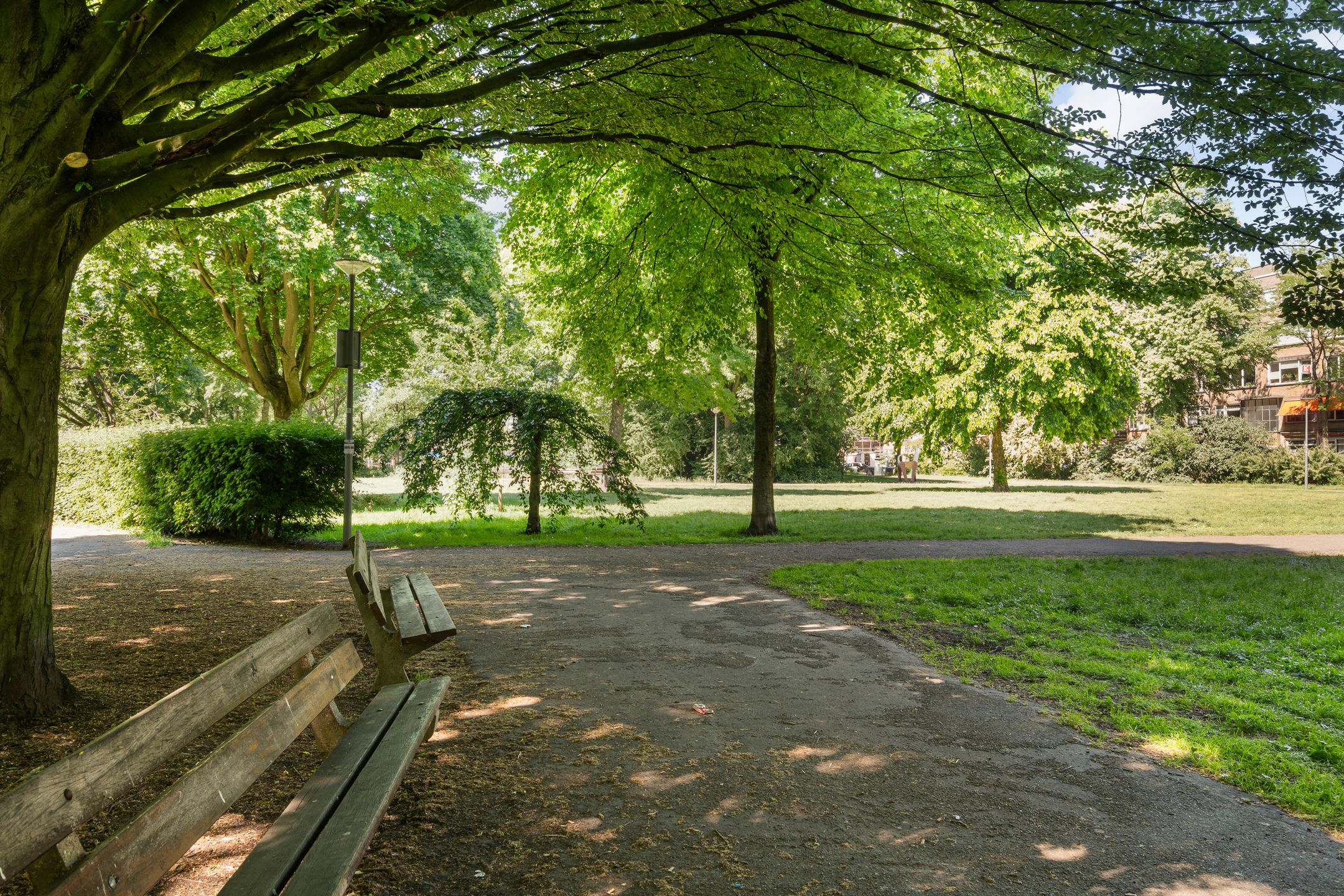 Foto 54 van Bijlwerffstraat 30-C