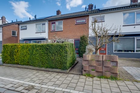 undefined main image