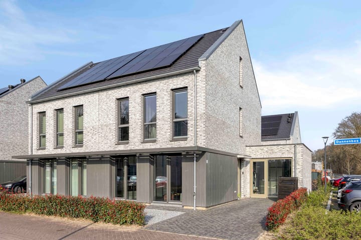 Dennenbos 2 main image