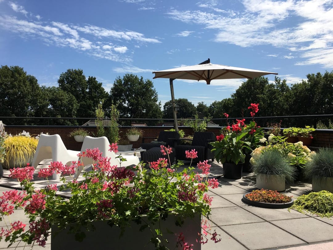 Foto 43 van Steenbeek 66