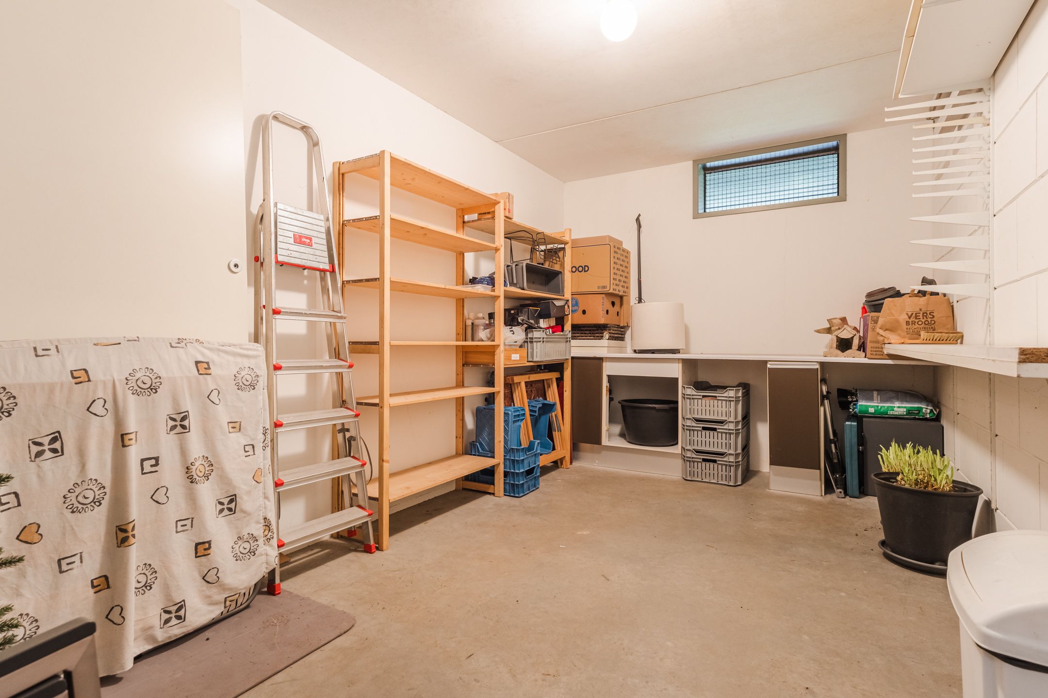 Foto 48 van Steenbeek 66