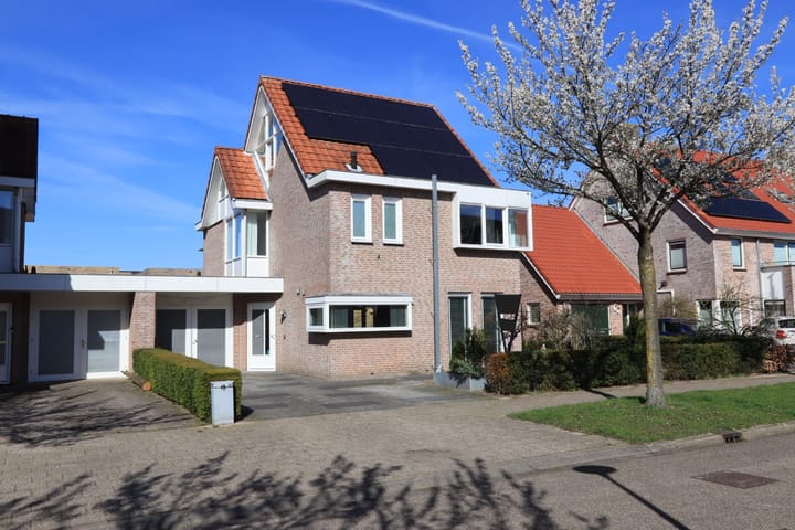 Groene Specht 14 main image