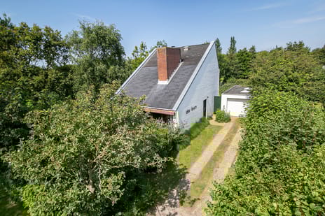 undefined main image