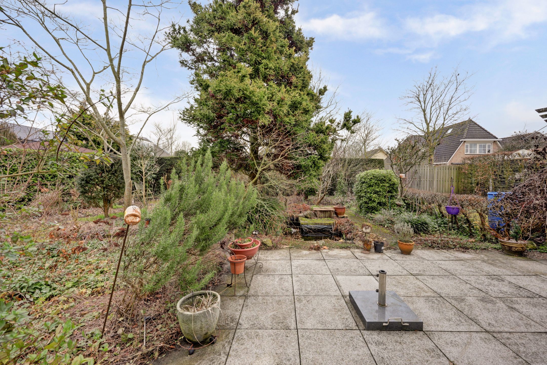 Foto 24 van Ridderspoorlaan 9