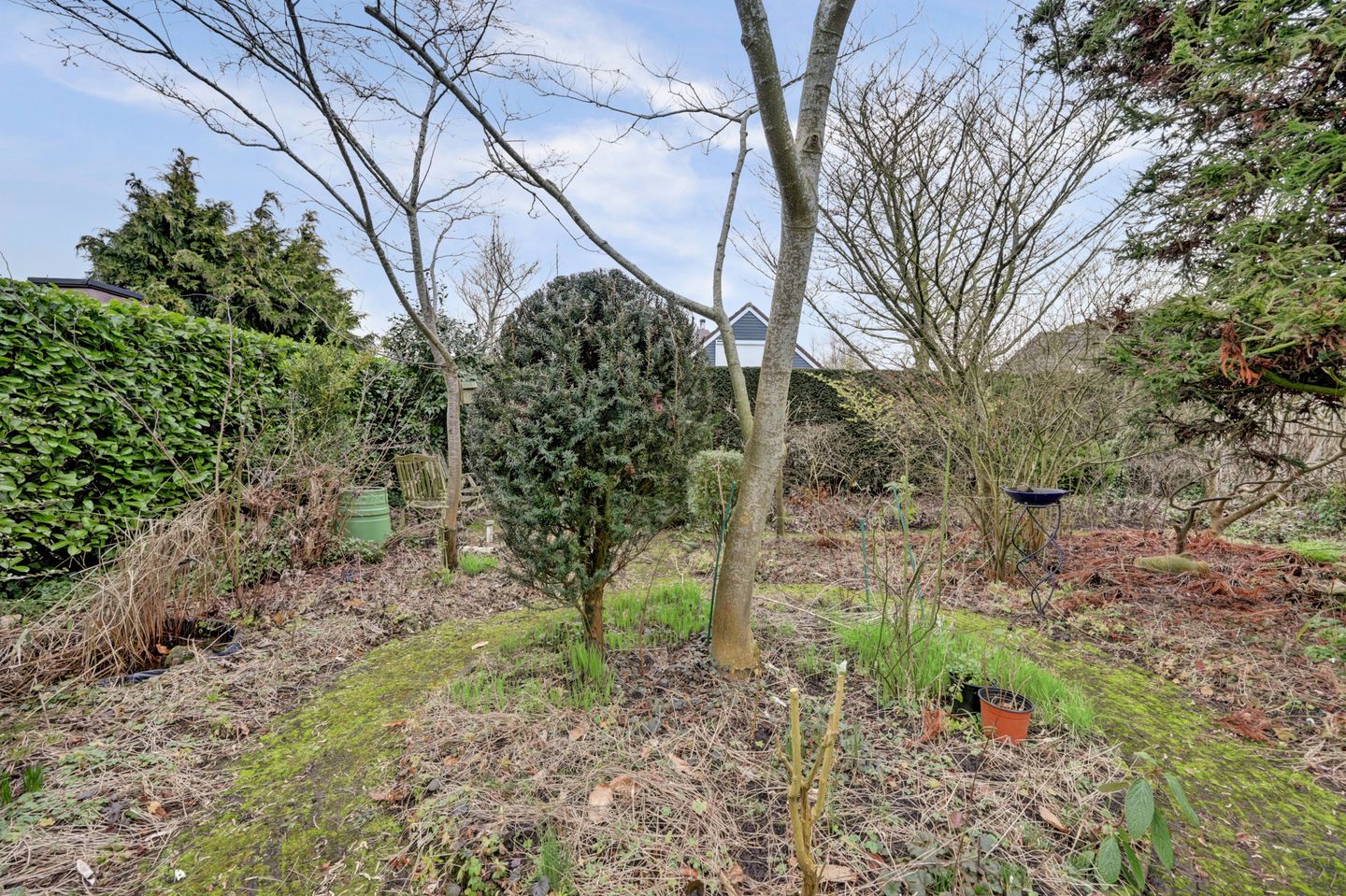 Foto 29 van Ridderspoorlaan 9