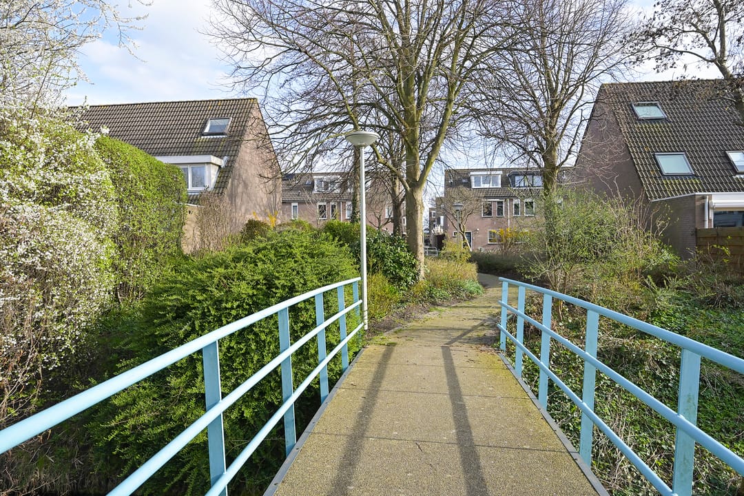 Photo 37 of Dwarsland 19