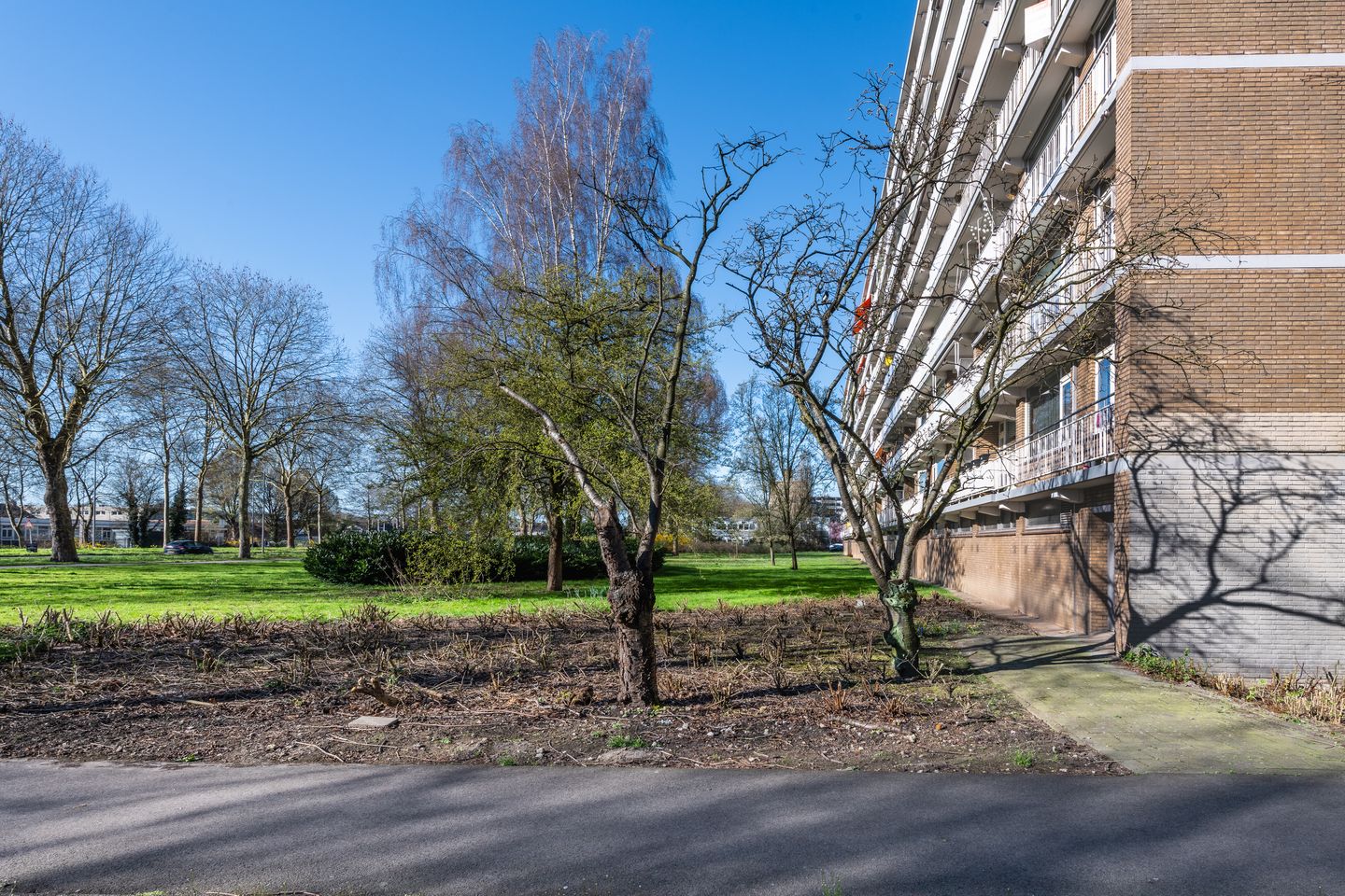 Photo 40 of Cordell Hullplaats 337