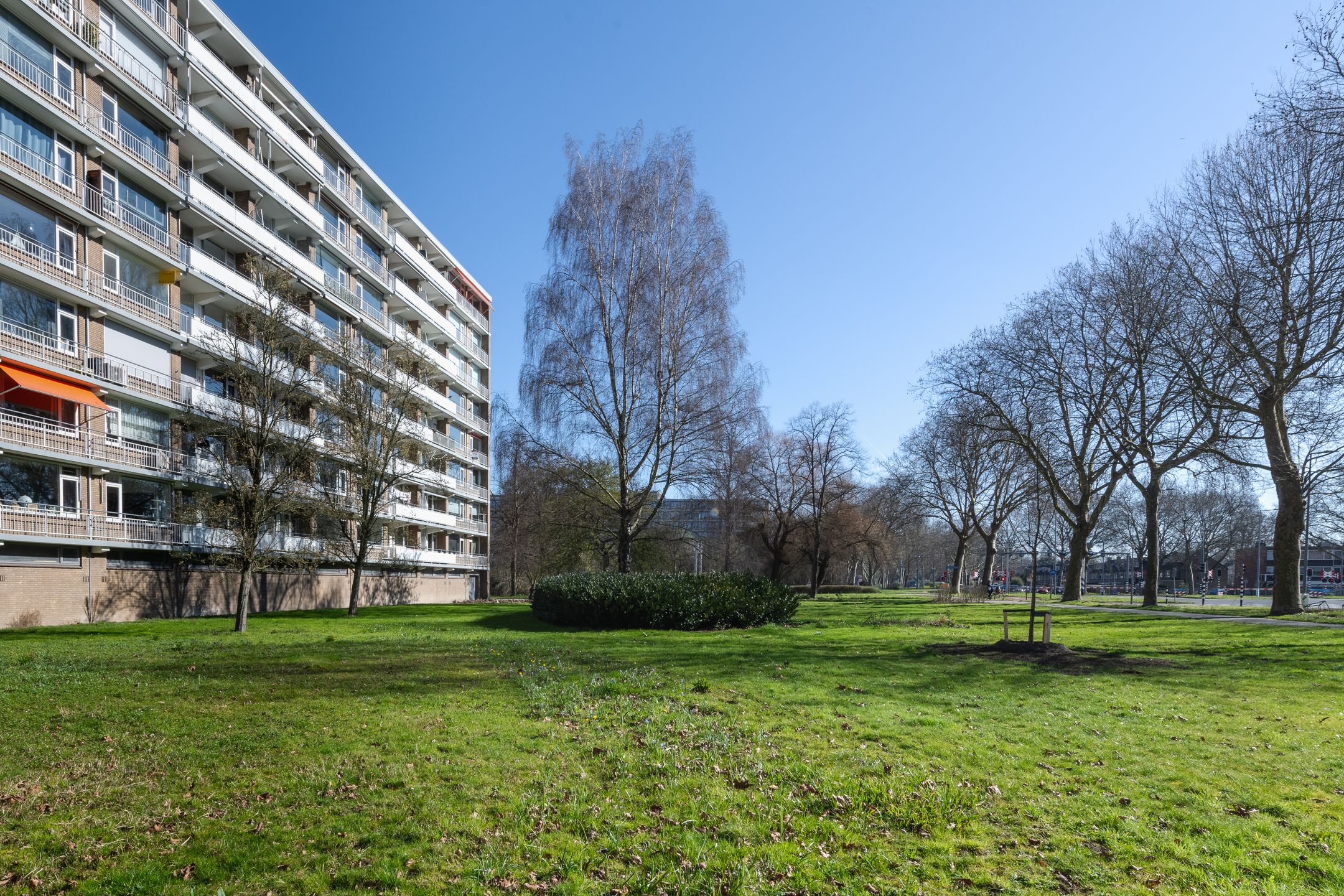 Photo 45 of Cordell Hullplaats 337