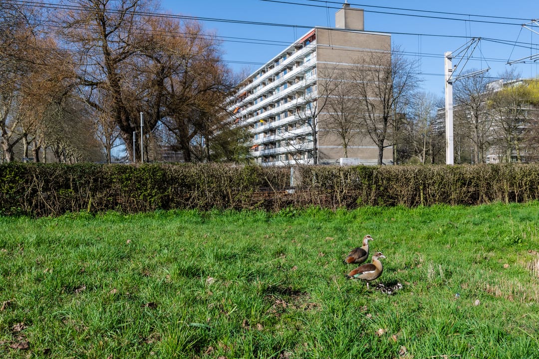 Photo 46 of Cordell Hullplaats 337