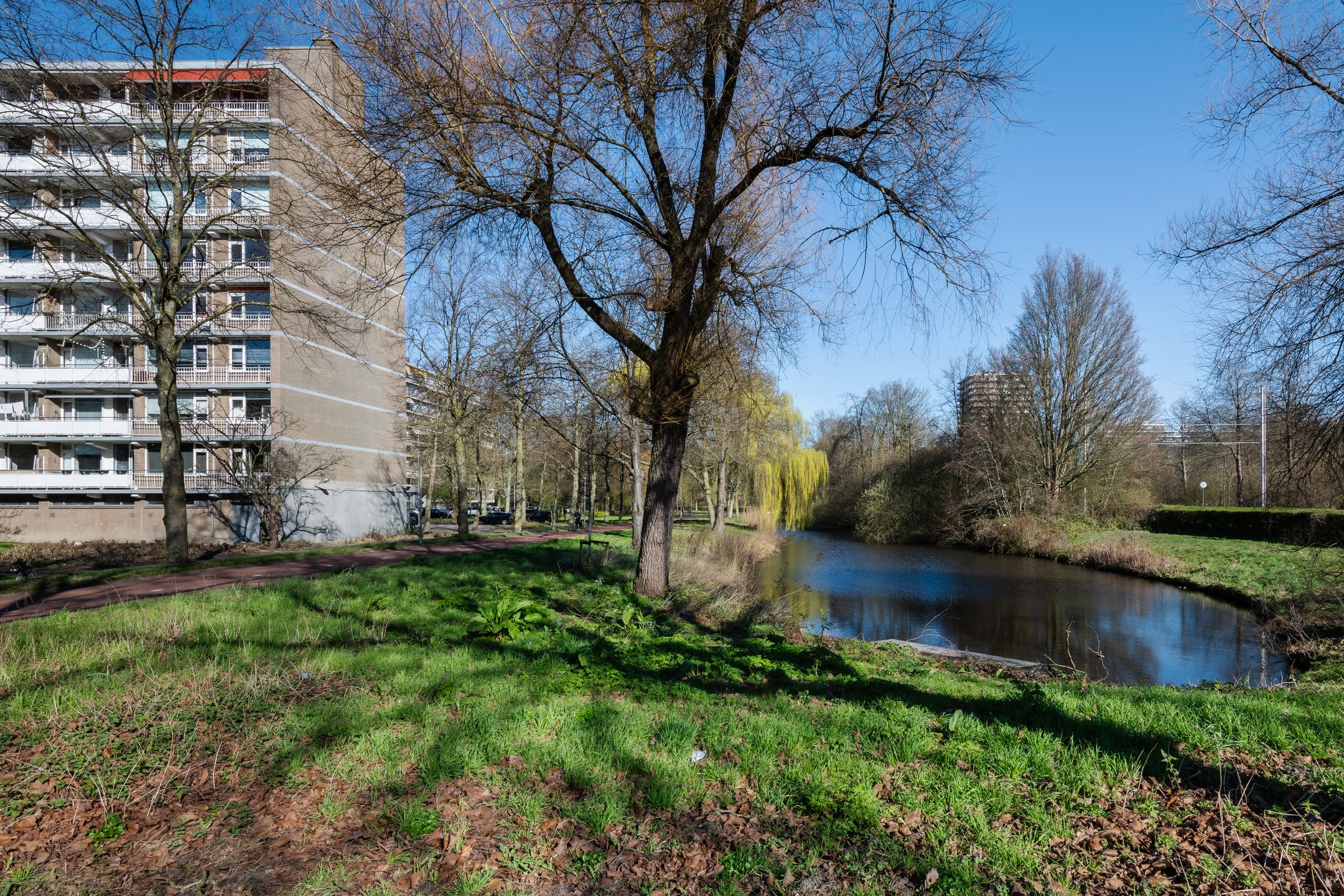 Photo 42 of Cordell Hullplaats 337