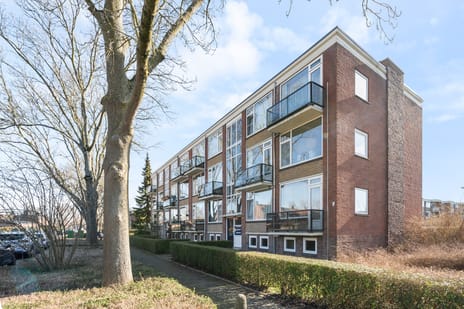 Dr. Ir. Lelystraat thumbnail