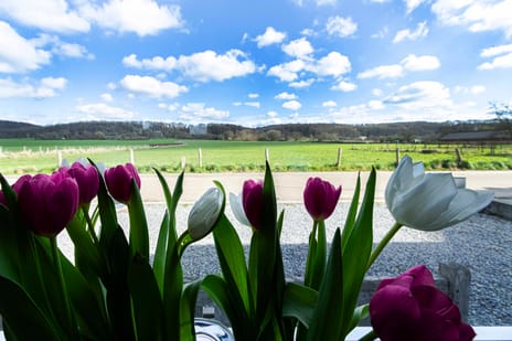 Voerenweg 2 secondary image