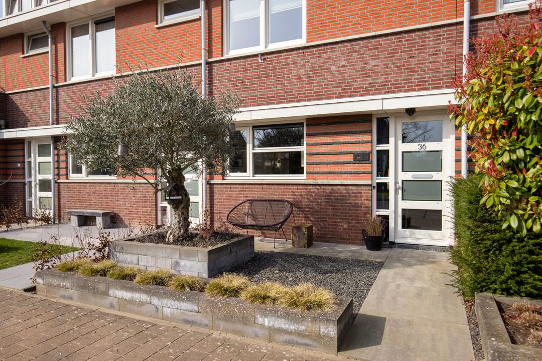 Foto 31 van Laagveen 36