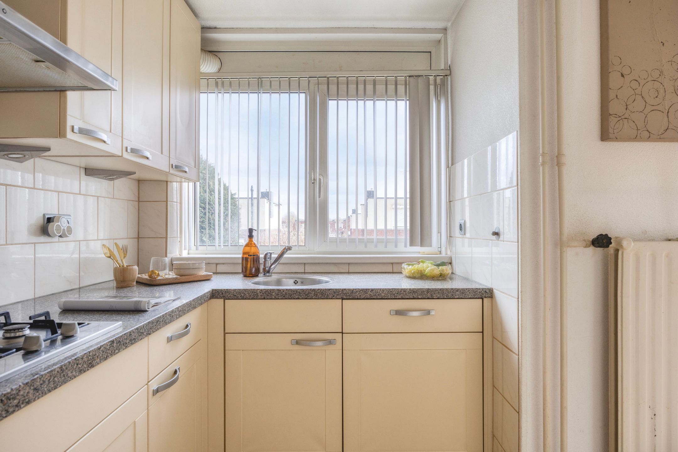 Foto 18 van Lodewijk Napoleonlaan 93