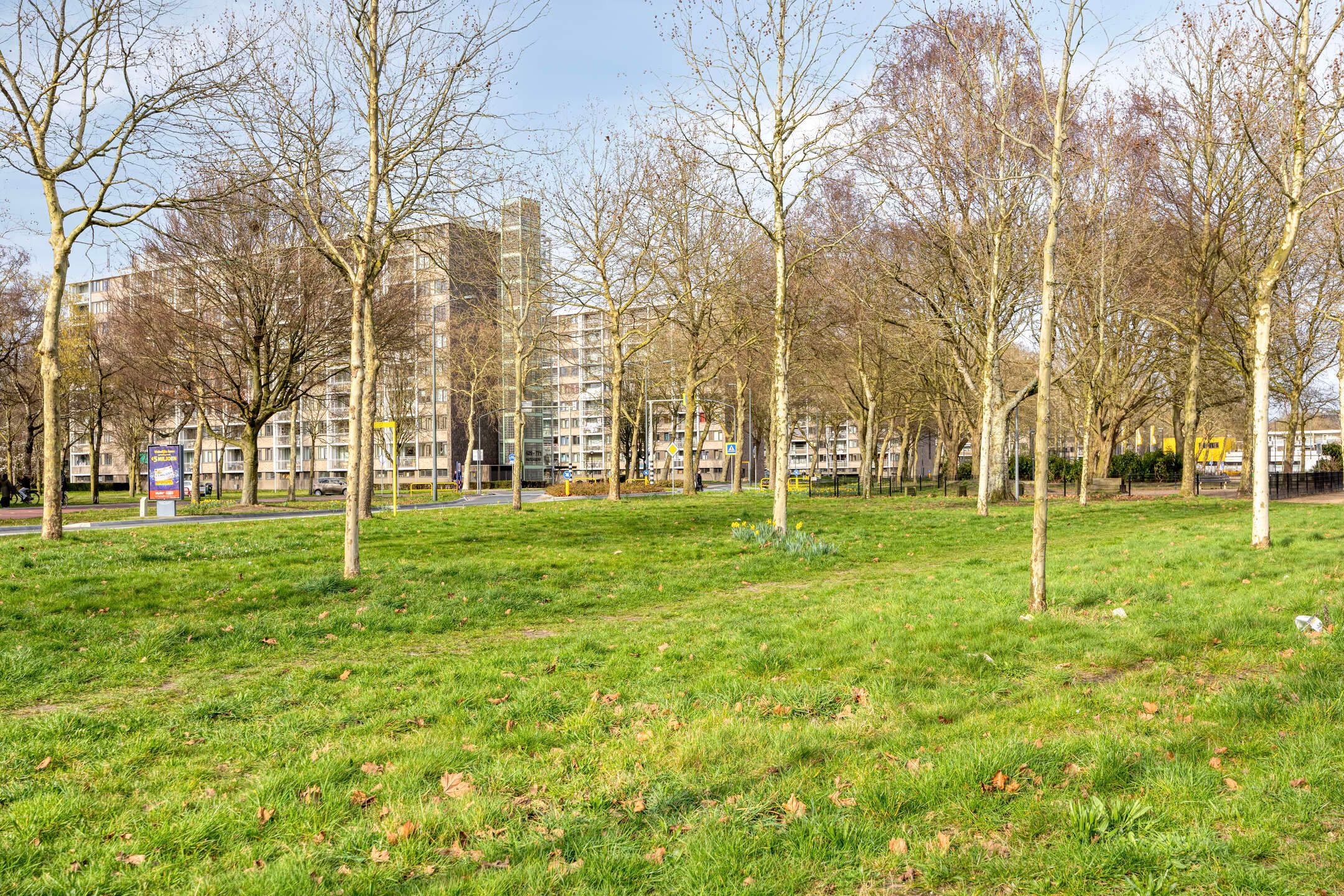 Foto 48 van Lodewijk Napoleonlaan 93