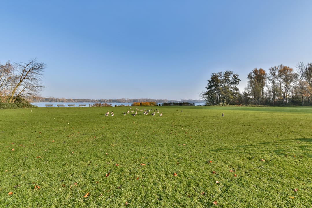 Foto 28 van Oudedijk 200